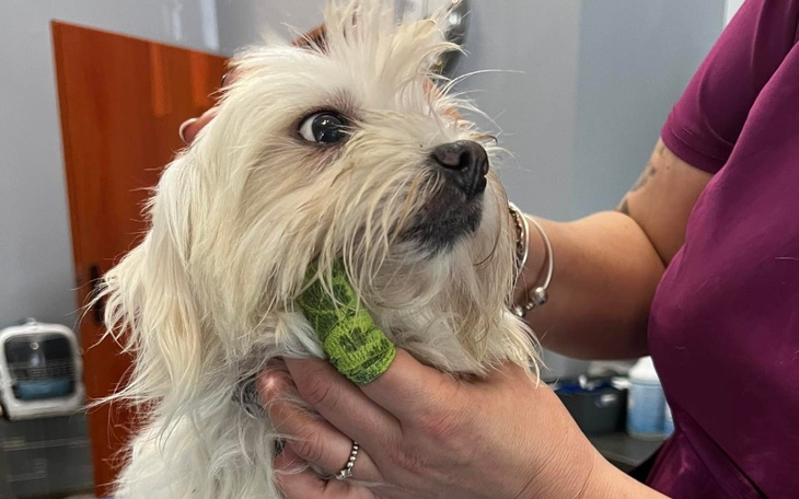 Zbiórka Ofiara Pseudohodowli - zdjęcie główne