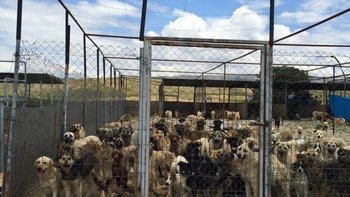 Zbiórka Piekło zamarzło Turcja - miniaturka zdjęcia