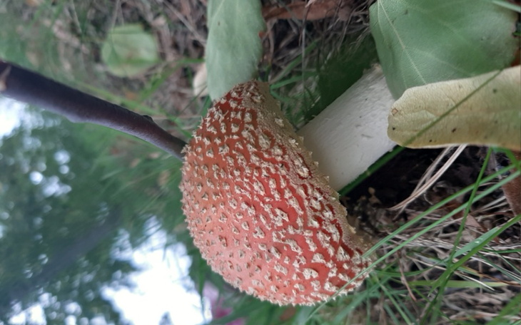 Zbiórka Na aparat bo lubie fotografowac - zdjęcie główne