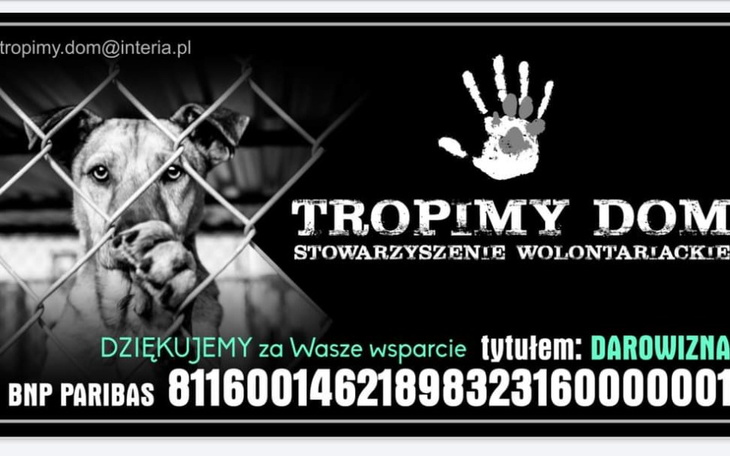 Zbiórka Tropimy Dom chce dalej pomagać - zdjęcie główne