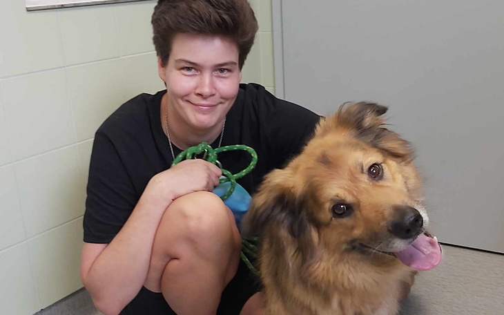 Zbiórka Na karmę dla Misia-Azora - zdjęcie główne