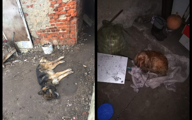 Zbiórka Za późno! - zdjęcie główne