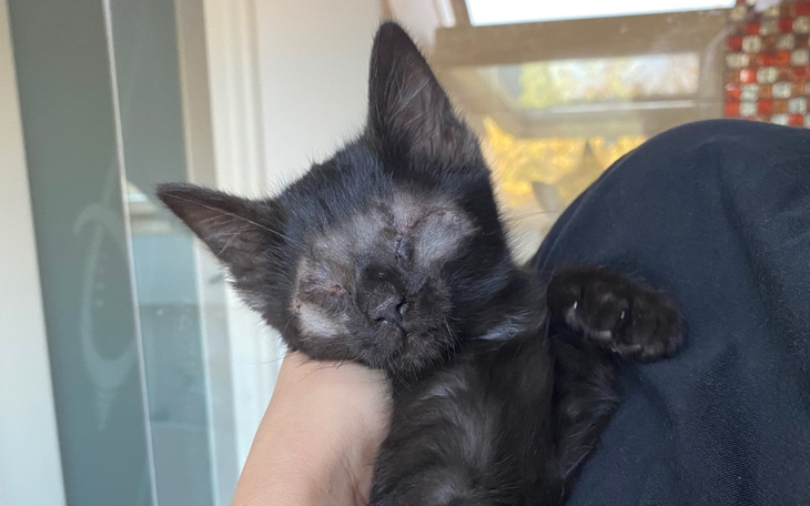 Zbiórka Ślepa Iwonka i jej rodzina - zdjęcie główne