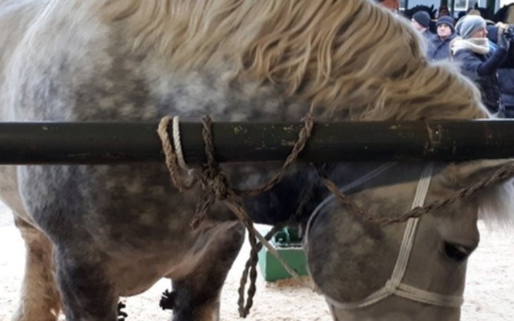 Zbiórka Na wykupienie jednej duszy.. - zdjęcie główne