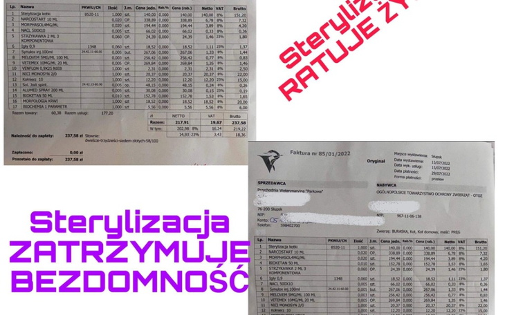 Faktura za usługi weterynaryjne, z wyszczególnionymi kosztami.