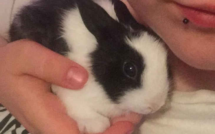 Zbiórka Freya - dziecko z akwarium - zdjęcie główne