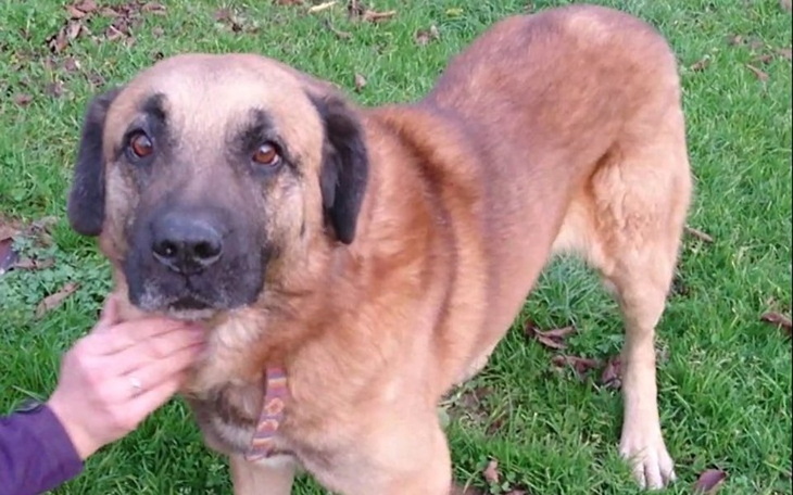 Zbiórka Twoje parę złotych-MOJE ŻYCIE - zdjęcie główne