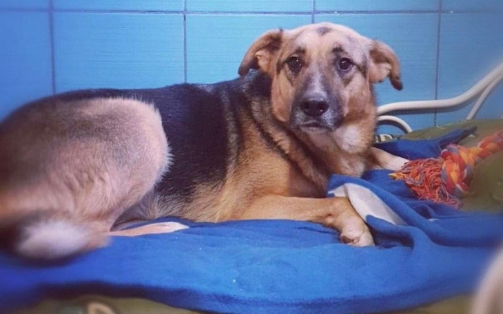 Zbiórka Potrzebują pomocy - zdjęcie główne