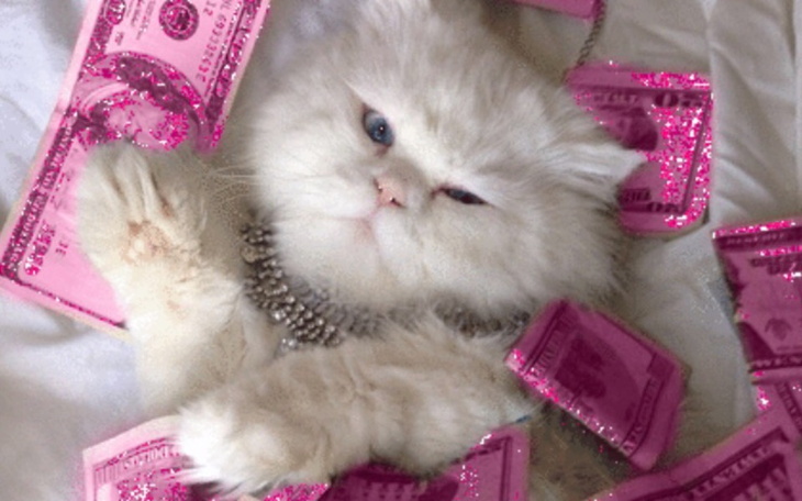 Zbiórka Pomóż mi - - zdjęcie główne