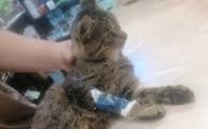 Zbiórka ZbiórkaNa Rzecz RTONZ w Radomsku - zdjęcie główne