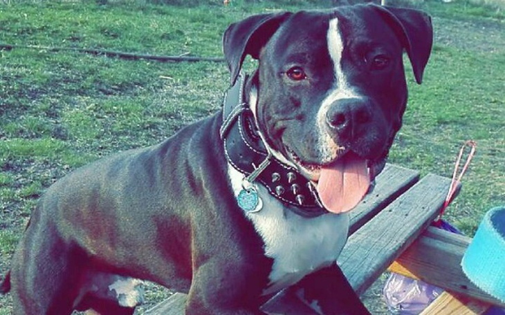 Zbiórka Pomoc dla Kazana - zdjęcie główne