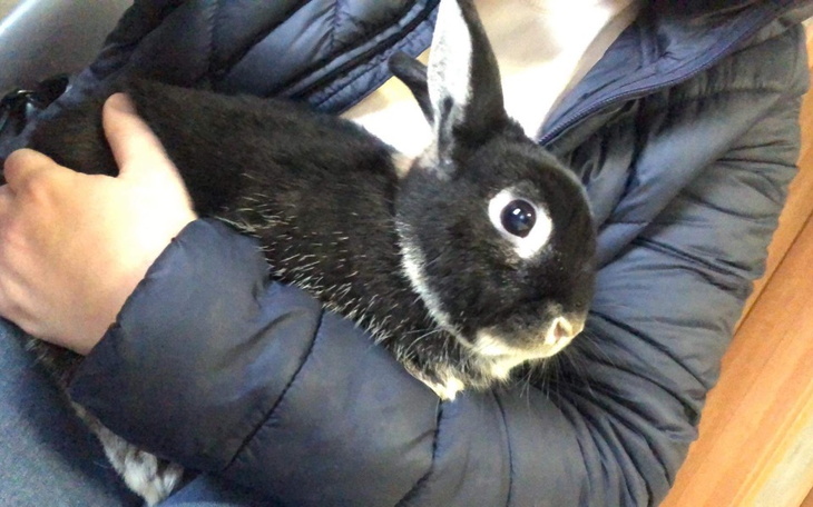 Zbiórka Dla tupelka - zdjęcie główne