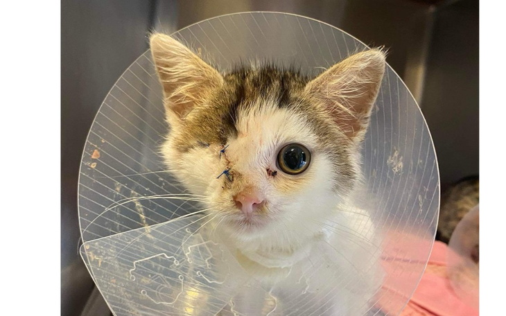 Zbiórka Ile jeszcze udźwigniemy - zdjęcie główne