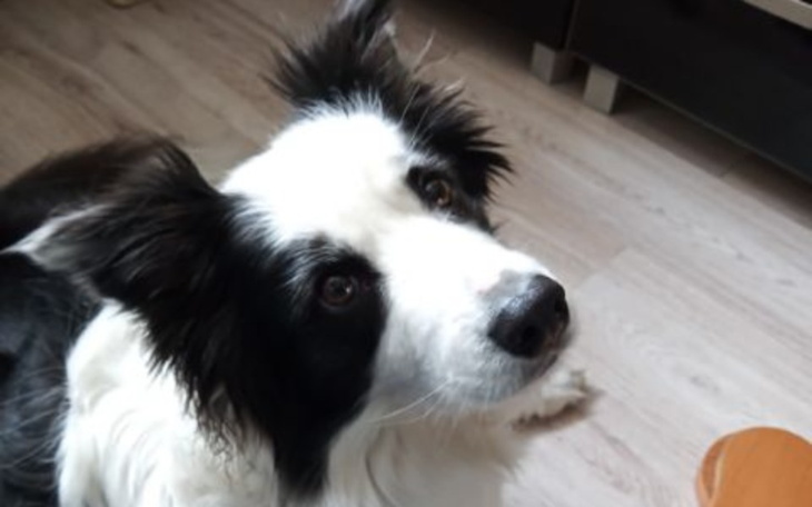 Zbiórka Zachorowałem a chce żyć - zdjęcie główne