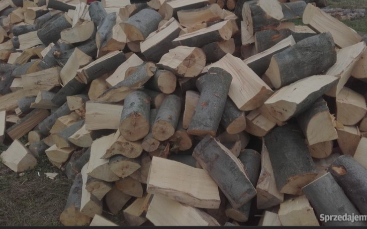 Zbiórka Drewno na opał - zdjęcie główne