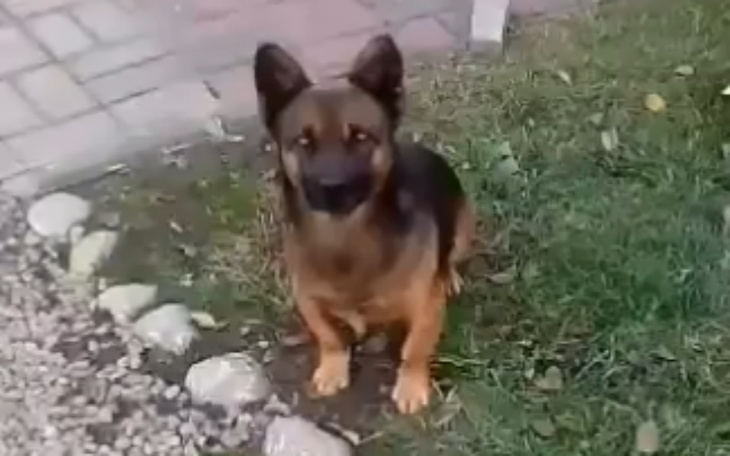 Zbiórka Miki vs śmierć - zdjęcie główne