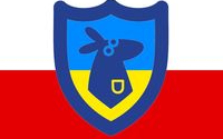 Zbiórka Powerbank od Kangura dla Ukrainy - zdjęcie główne