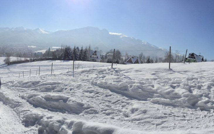 Zbiórka Wakacje marzeń młodzieży - zdjęcie główne