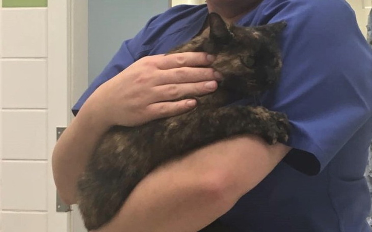 Zbiórka Trufla - zdjęcie główne