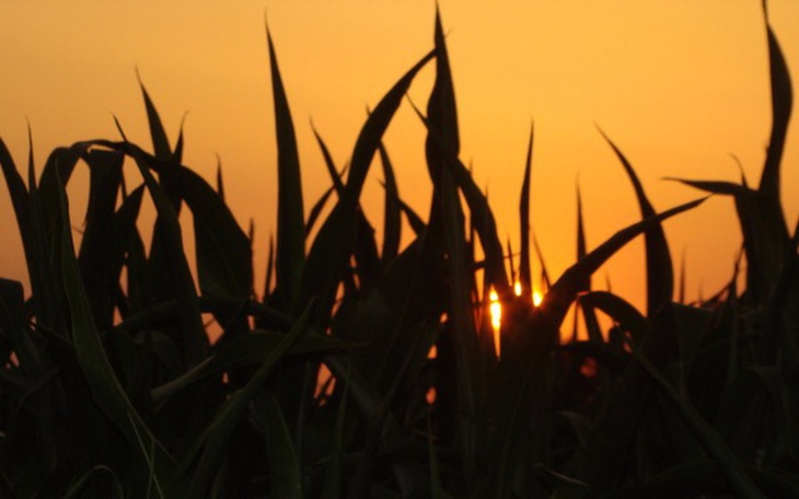 Zbiórka Druga szansa na życie - zdjęcie główne