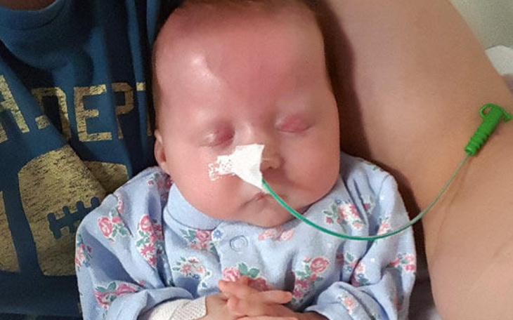 Zbiórka Słaba wątroba - zdjęcie główne