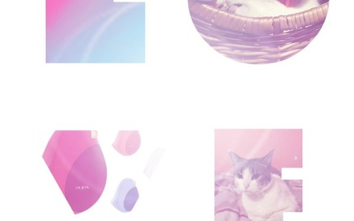 Zbiórka Na karmę dla schroniska - zdjęcie główne