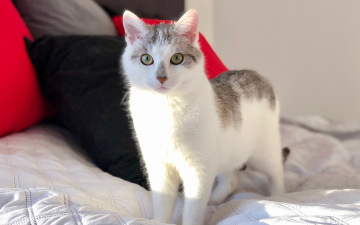 Zbiórka Marian walczy o wszystko - zdjęcie główne