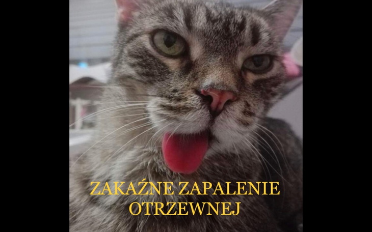 Zbiórka Ratuj życie Mirusia - zdjęcie główne