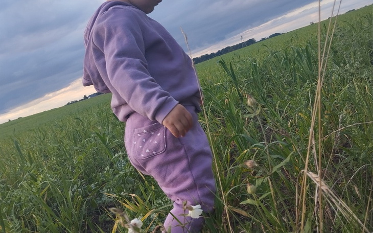 Zbiórka Opłacenie kursu na prawo jazdy - zdjęcie główne
