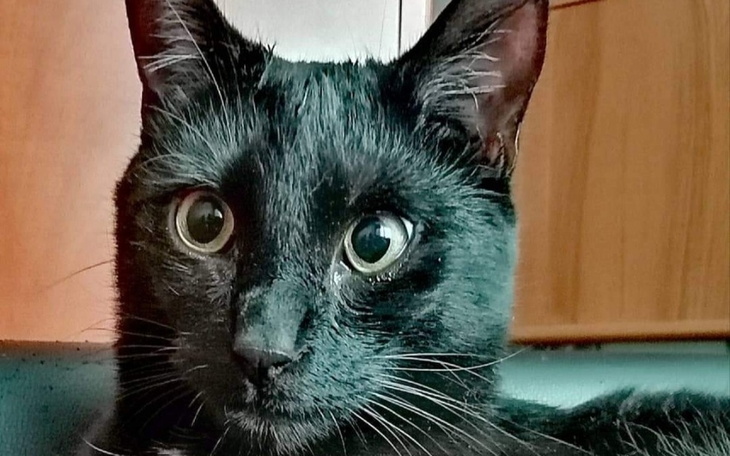 Zbiórka Lord Vader Panem Wszechświata - zdjęcie główne