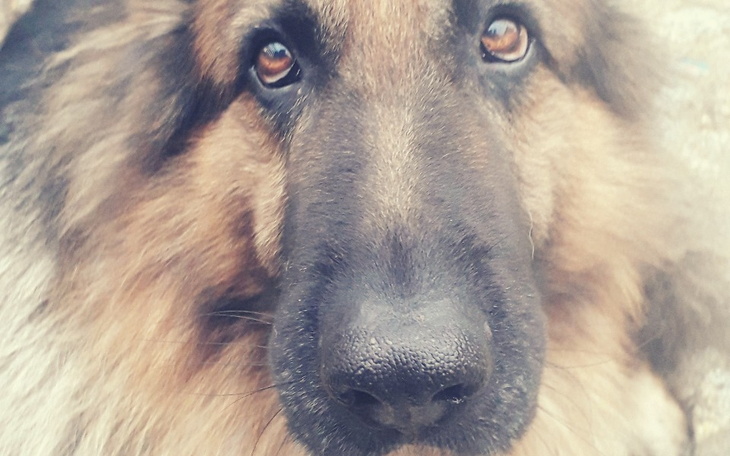 Zbiórka Nero walczy z nowotworem - zdjęcie główne