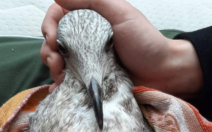 Zbiórka Lockdown odebrał mi wszystko. - zdjęcie główne