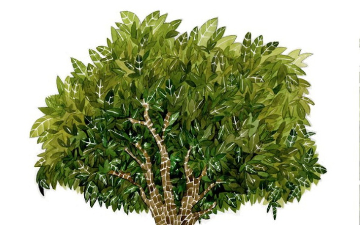 Zbiórka zakladanie - zdjęcie główne