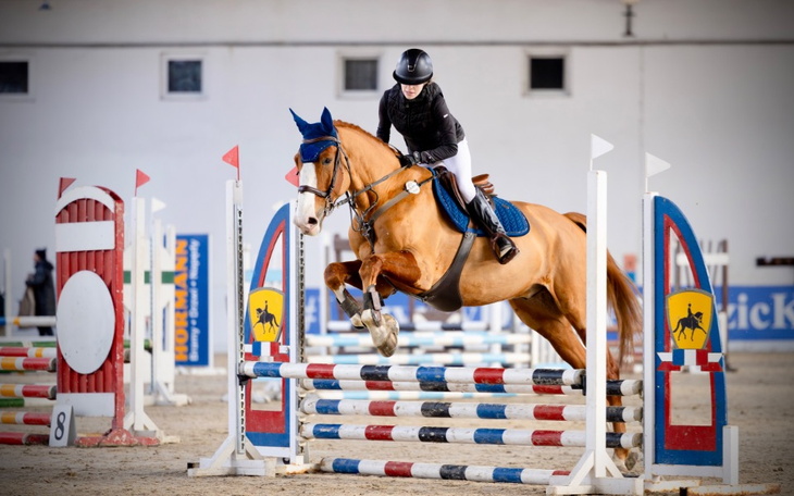 Jeździec skaczący przez przeszkodę na koniu w hali.