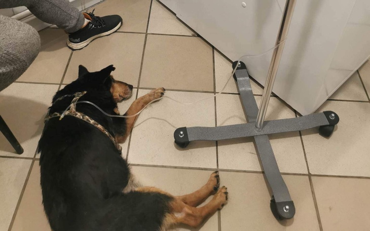 Zbiórka Zbieram na zapłatę faktury - zdjęcie główne