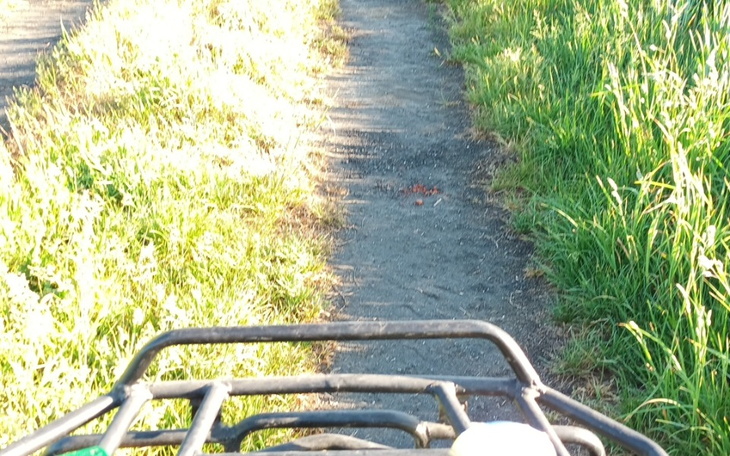 Zbiórka Motor i jazda. Nad może - zdjęcie główne