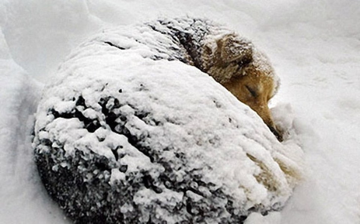 Zbiórka Ciepła buda - zdjęcie główne