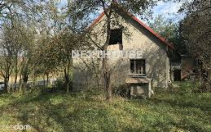 Zbiórka Zbieram na szopke dla owiec - zdjęcie główne