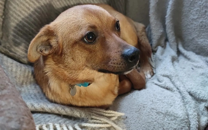 Zbiórka Na Biłgorajskie Stowarzyszenie - zdjęcie główne