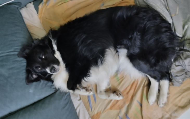 Zbiórka Na Odiśia na operację jelita - zdjęcie główne