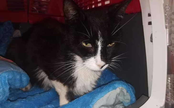 Zbiórka Negrita umiera - zdjęcie główne