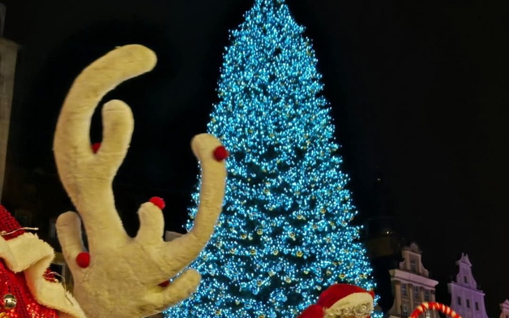 Zbiórka Pomocy 23 - zdjęcie główne