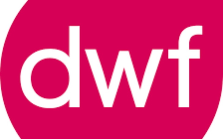 Zbiórka DWF na rzecz bezdomnych zwierząt - zdjęcie główne