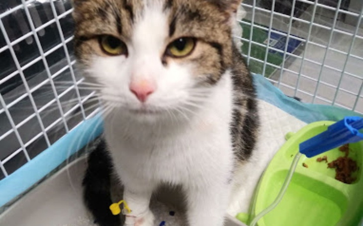 Zbiórka Wygrać z Życiem - zdjęcie główne