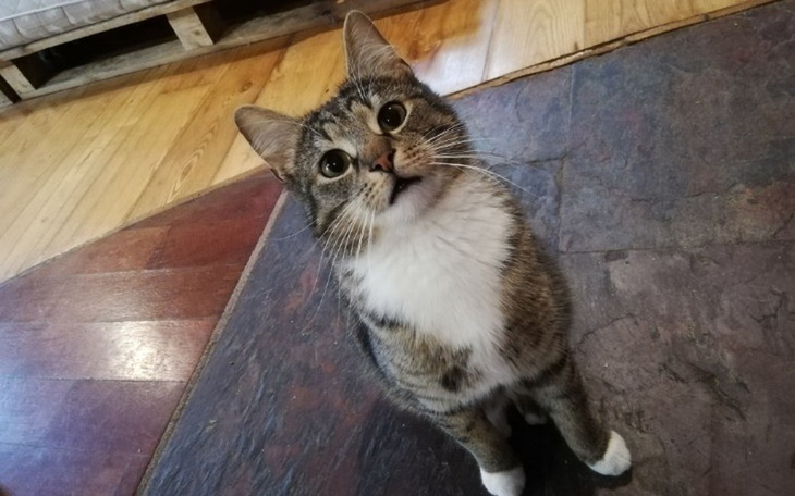 Zbiórka Urodzinowa zbiórka Zuzanny - zdjęcie główne