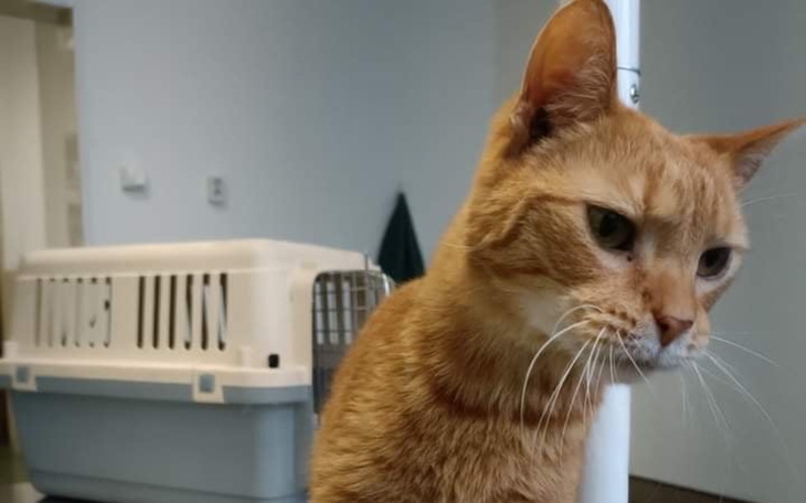 Zbiórka Marcel umiera - zdjęcie główne