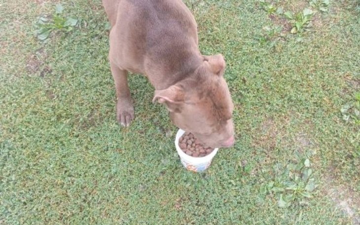 Zbiórka Prezenty dla Bezdomniaka - zdjęcie główne