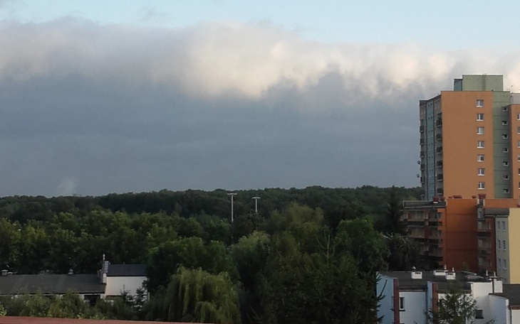 Zbiórka Proszę pomóż. - zdjęcie główne