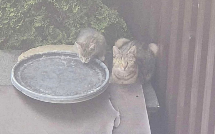 Widok na pusty pokój z materiałami budowlanymi.