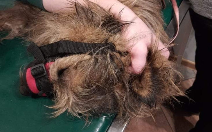 Zbiórka Umierałem w rowie. - zdjęcie główne